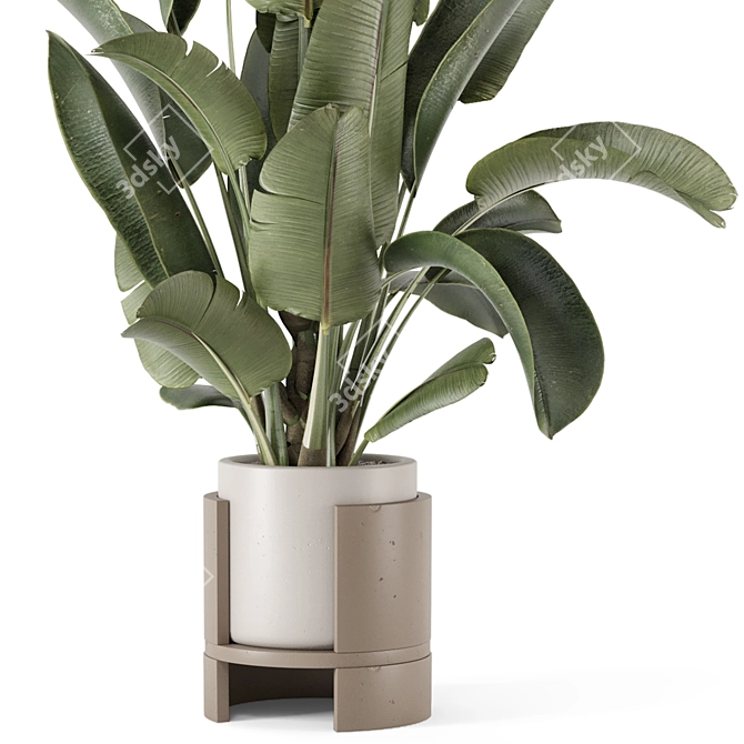 Rusty Concrete Pot Indoor Plants 3D model image 3