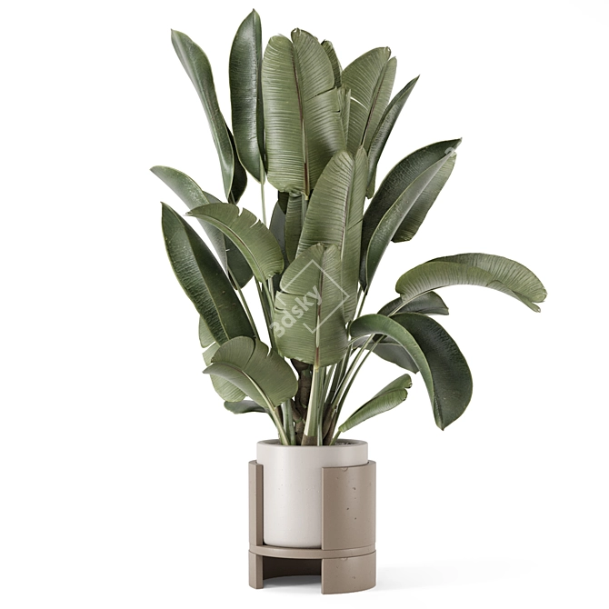 Rusty Concrete Pot Indoor Plants 3D model image 4