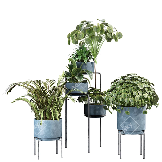 Modern Indoor Plant Set 29 3D model image 1