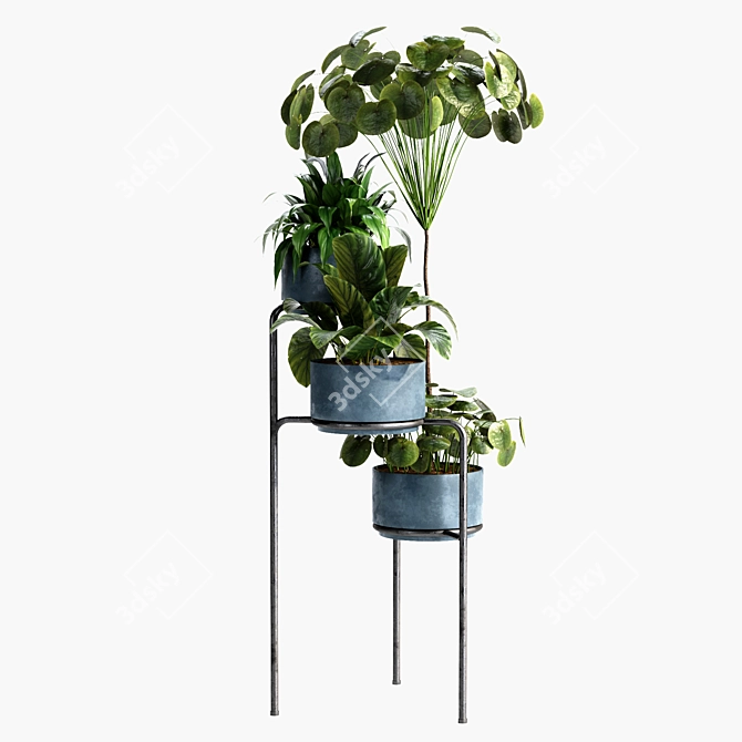 Modern Indoor Plant Set 29 3D model image 3