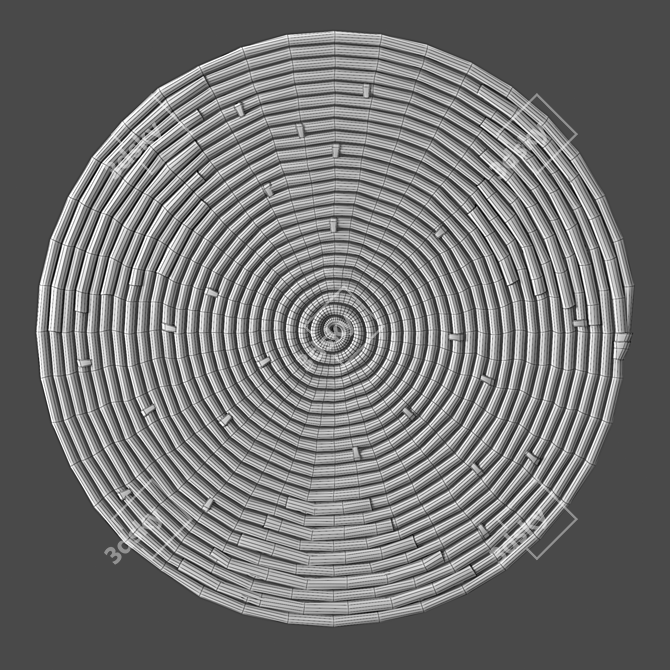 Boho Handwoven Jutlo Wall Decor 3D model image 3