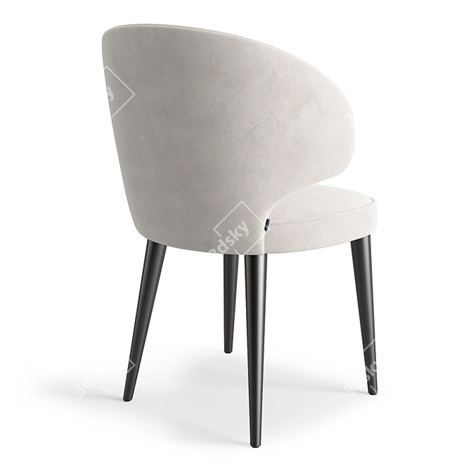 Vito Dining Chair with Birch Plywood Frame 3D model image 4