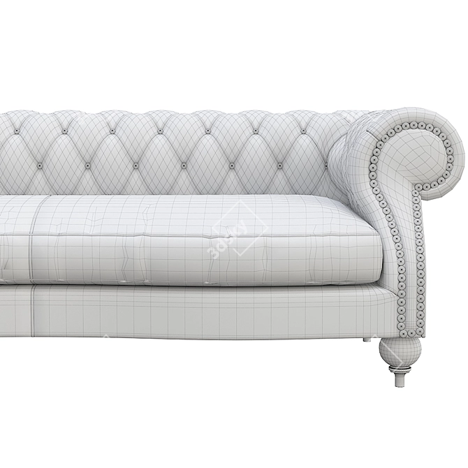 Elegant Baxter Diana Chester Sofa 3D model image 4