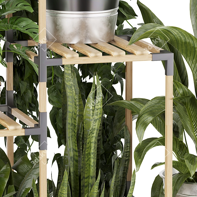 Premium Plant Collection Stand Decor 3D model image 6