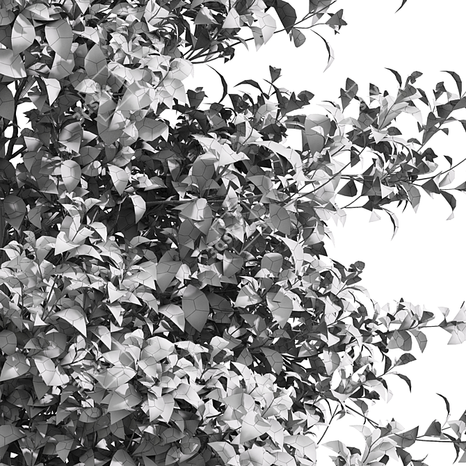 Dual Real Tree 3D Models 3D model image 6