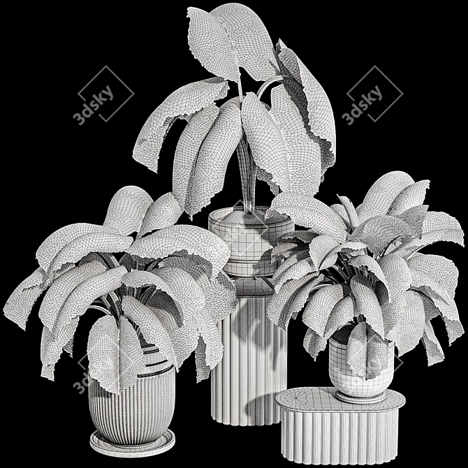 Exotic Caladium Elephant Ear Plant 3D model image 7