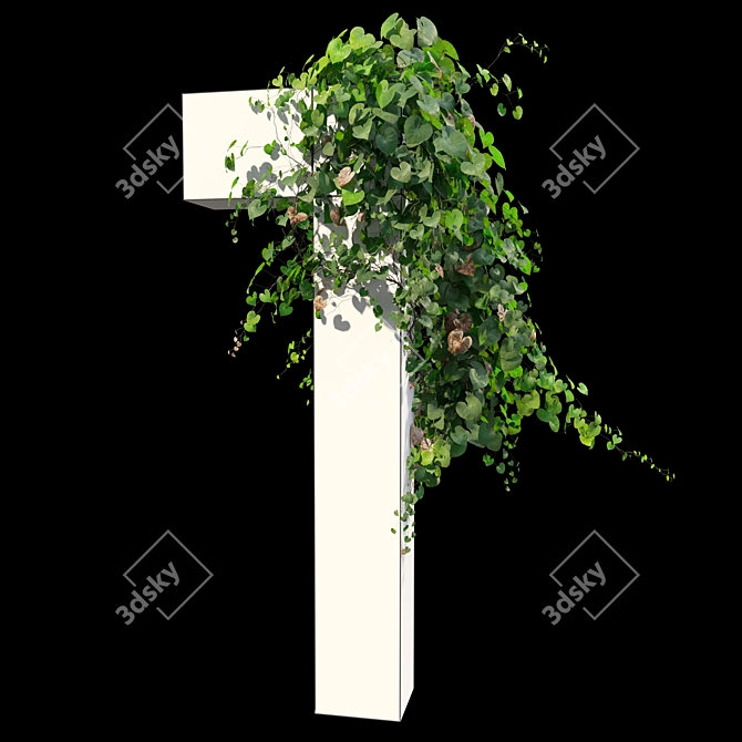 Versatile Set of Five Vines 3D model image 3