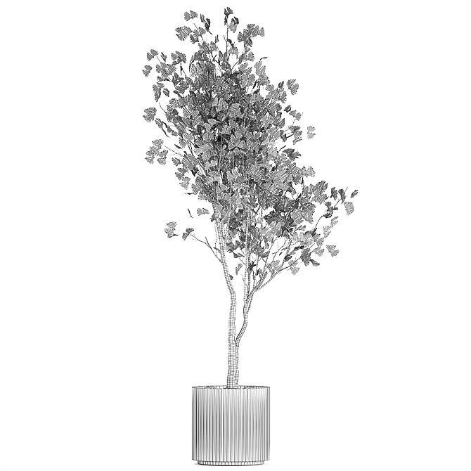 Ginkgo Biloba Decor Tree in Concrete Pot 3D model image 6