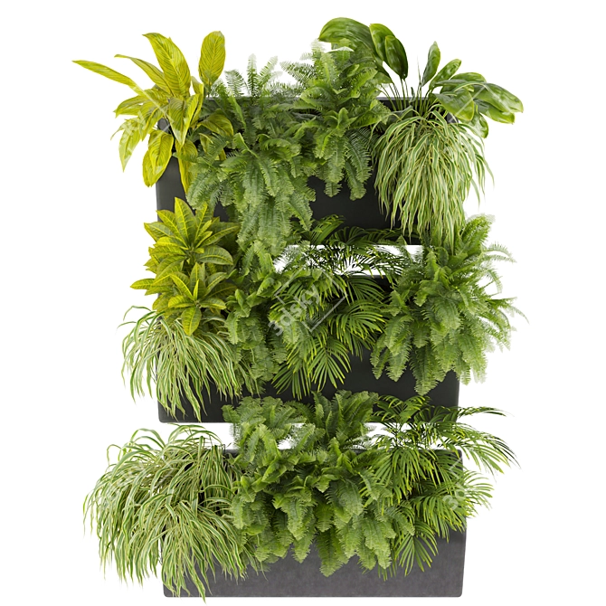 Ampelous Fern Hanging Banana Plant 3D model image 2