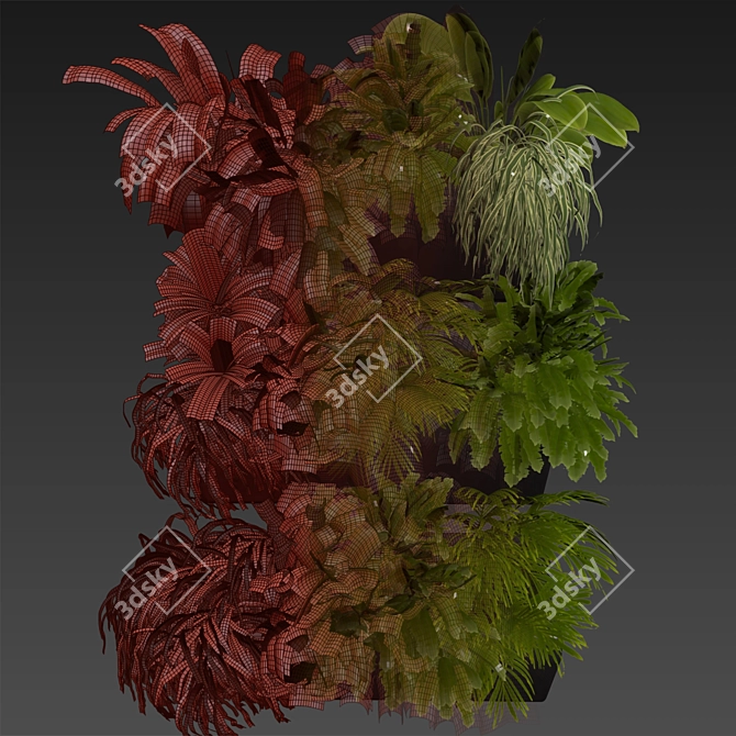 Ampelous Fern Hanging Banana Plant 3D model image 7