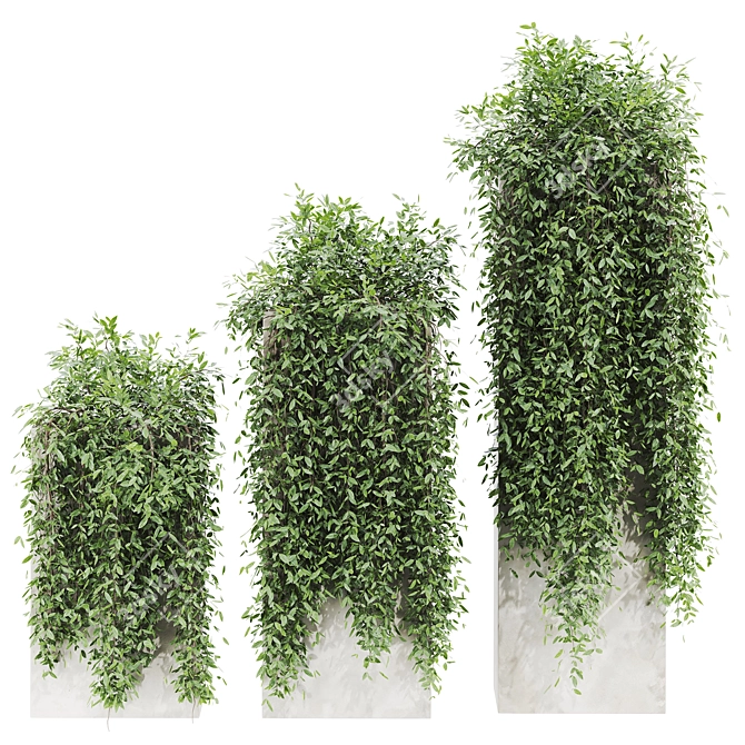Russian Plants Set 3D Model 3D model image 1