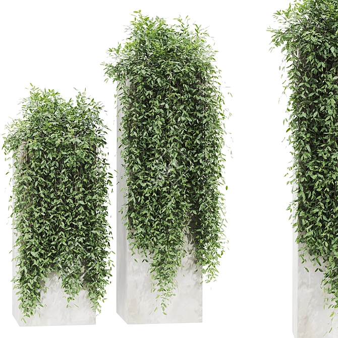 Russian Plants Set 3D Model 3D model image 2