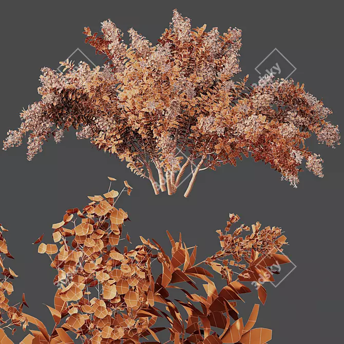 White Flowering Myrtle Tree Models 3D model image 4