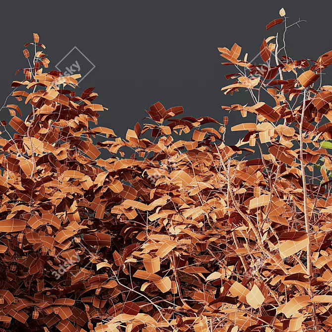 Colorful Winter Dogwood Plant 3D model image 5