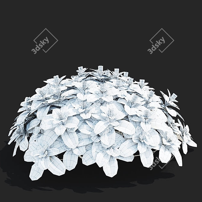 Pachysandra Terminalis 3D Model Kit 3D model image 5