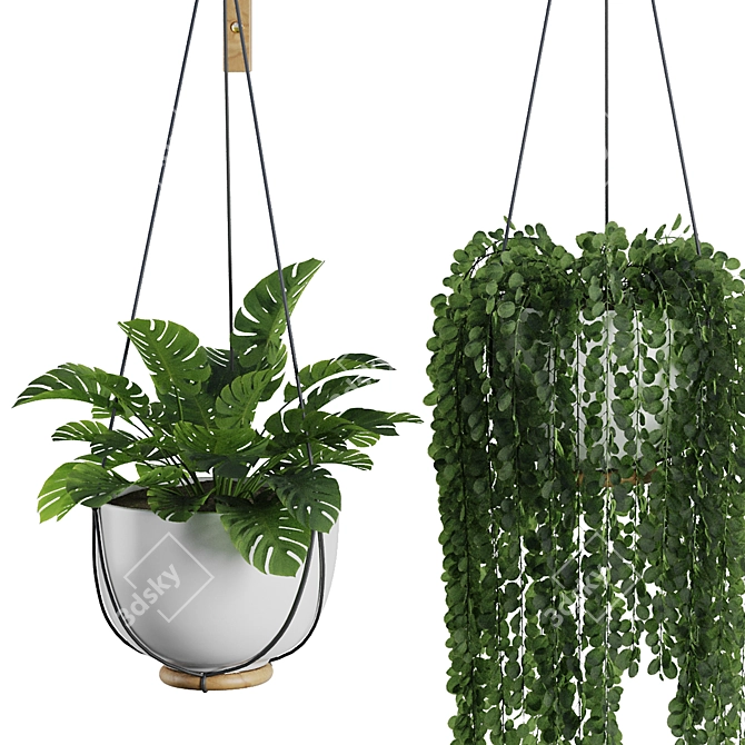 Modern Hanging Plant SetV3 3D model image 3