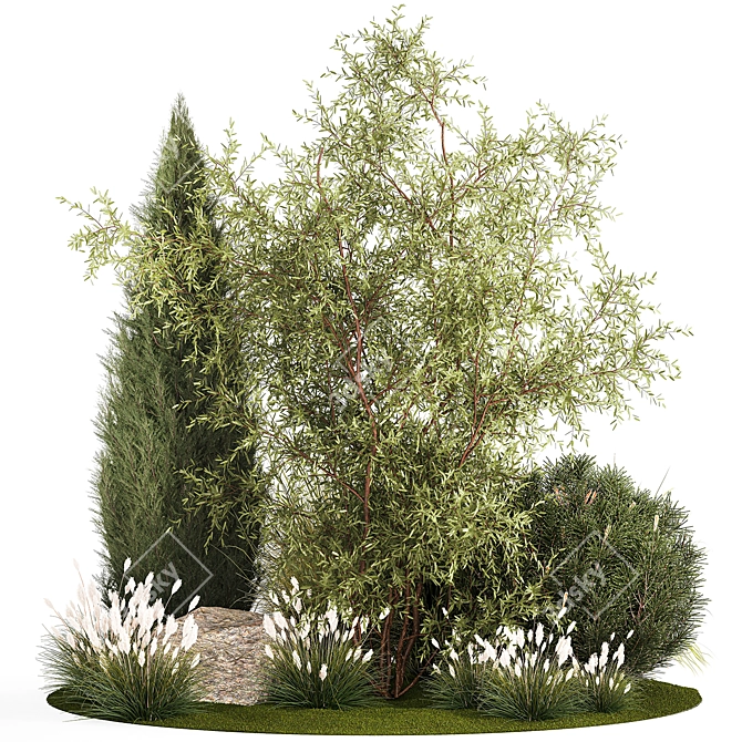 Decorative Tree & Shrub Collection 3D model image 1