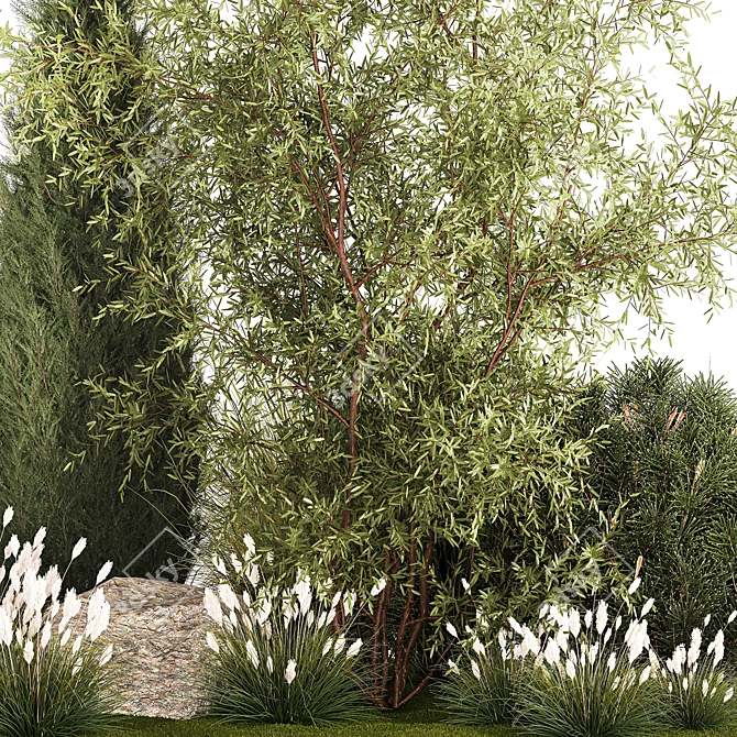 Decorative Tree & Shrub Collection 3D model image 2