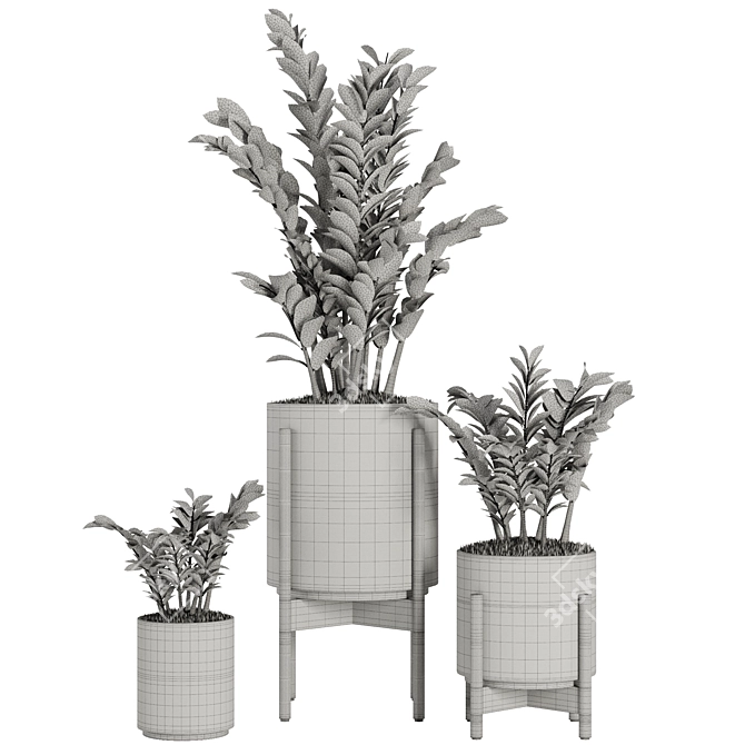 Indoor Plant Set V32-Zamiifolia 3D model image 5