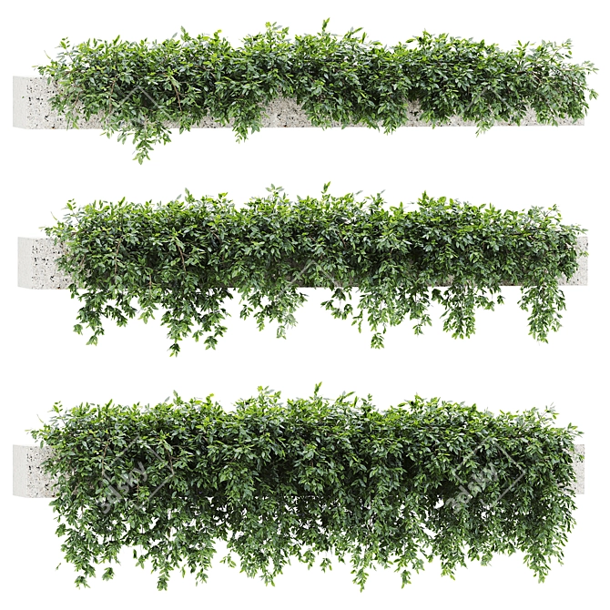 1315000 Botanical 3D Models Set 3D model image 1