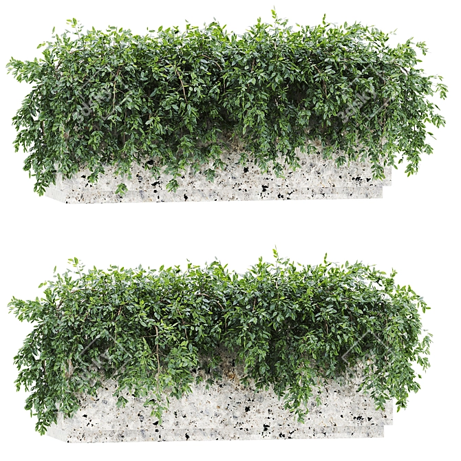 3D Plants Set 61 Bundle 3D model image 1