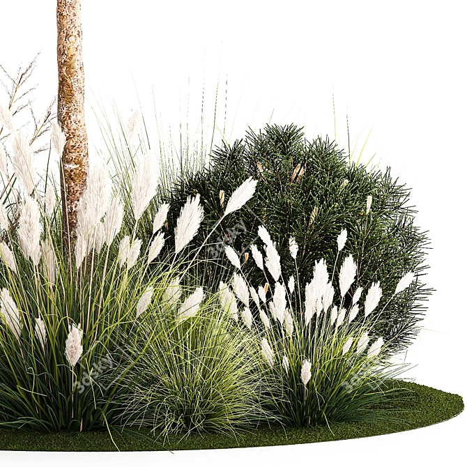 Tropical Trees Collection with Grasses 3D model image 4