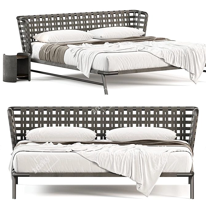Luxury Meridiani Leather Bed 3D model image 2