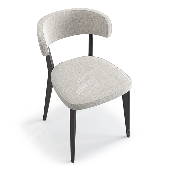 Scandinavian Style Compact Modern Chair 3D model image 3