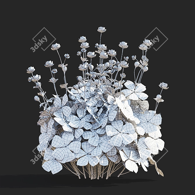 Trollius Flower Bundle | Floral 3D Models 3D model image 4