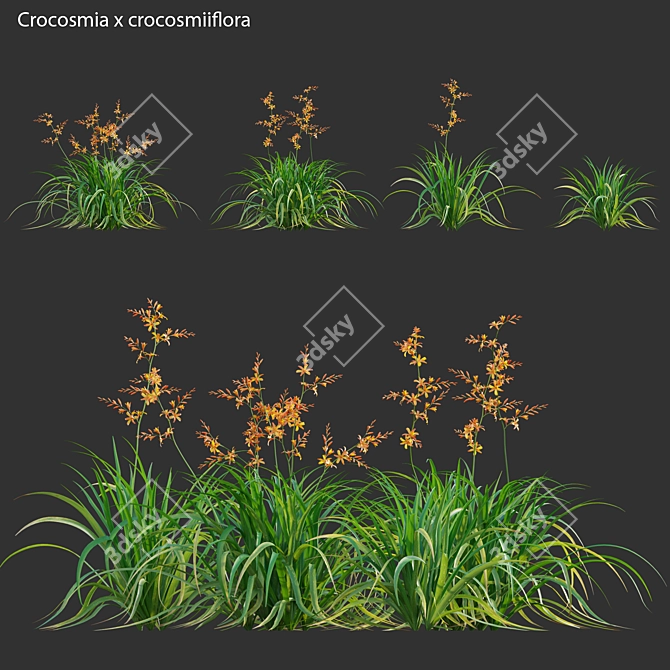 Complete 3D Plant Collection Solution 3D model image 1