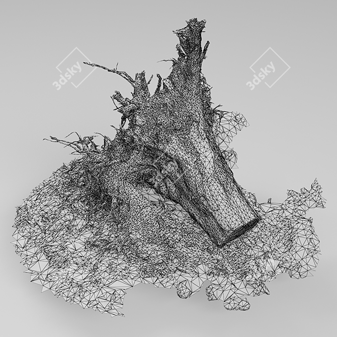 Vintage Tree Stump 3D model image 5