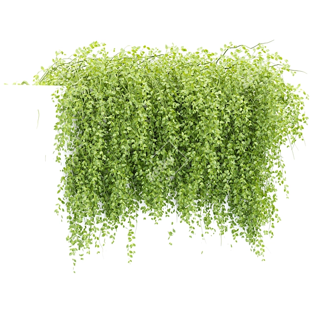 Creeper Plants Collection Vol. 225 3D model image 5