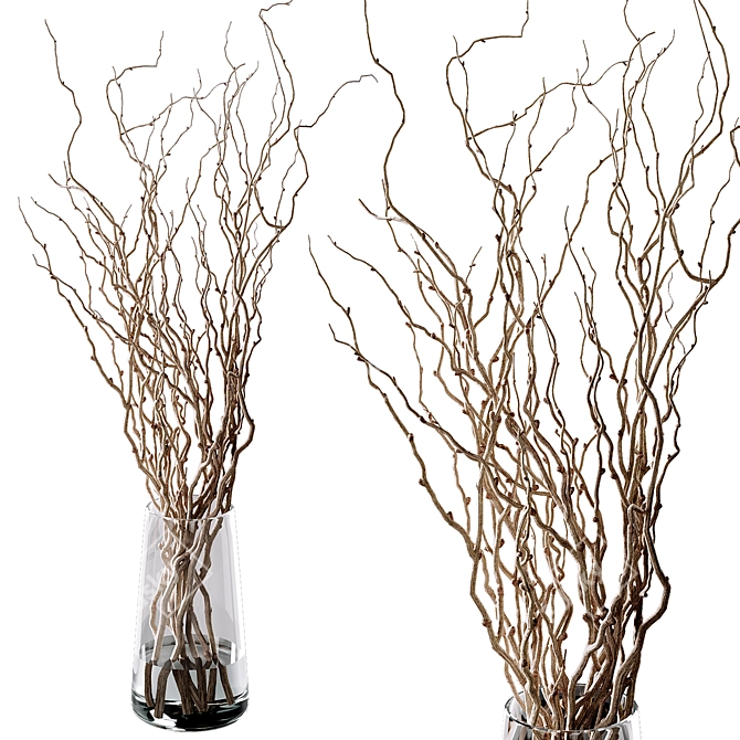 Natural Curly Willow Branches 3D model image 1