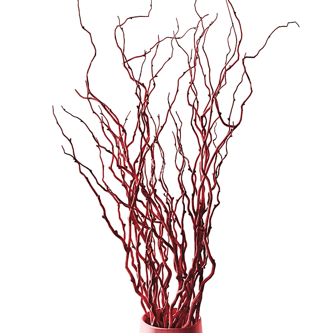 Natural Curly Willow Branches 3D model image 3