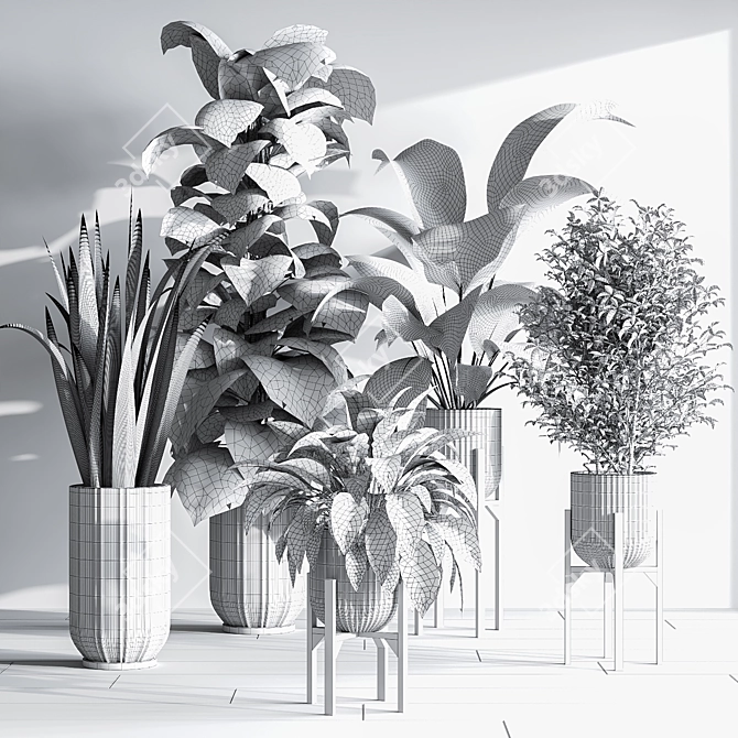 Lush Indoor Plant Set 3D model image 4