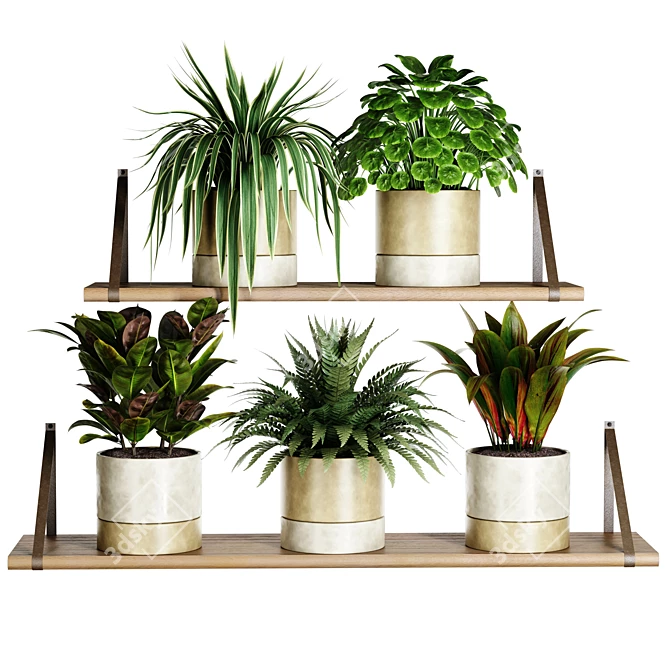 Cozy Shelf Plants Set 3D model image 1
