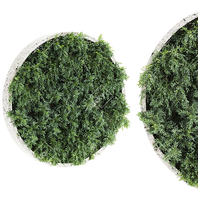 Green Oasis Plants Set 65 3D model image 1