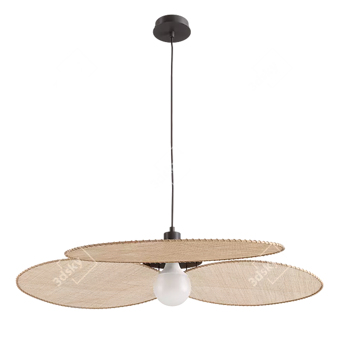 Rattan Canopée Ceiling Lights 3D model image 1