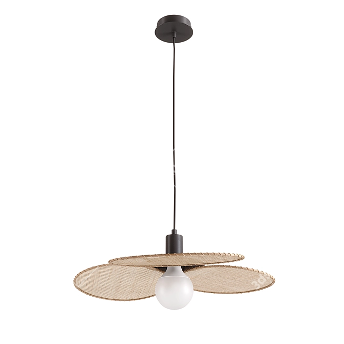 Rattan Canopée Ceiling Lights 3D model image 3