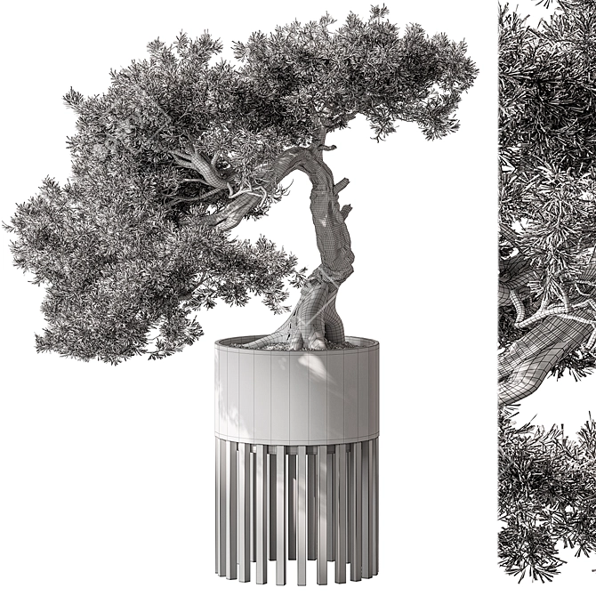 Bonsai Beauty: Indoor Plant 564 3D model image 5