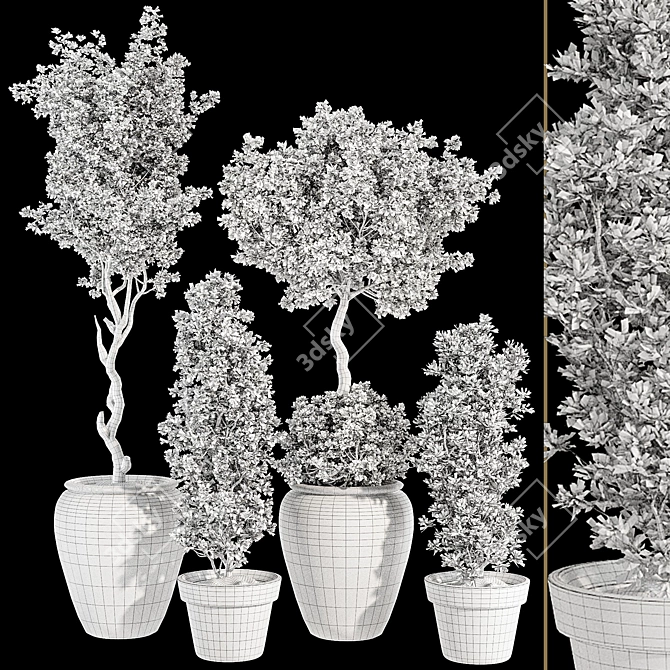 Bohemian Olive Bonsai Bush Pottery 3D model image 7