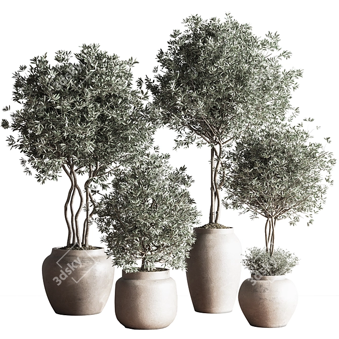 Modern Urban Indoor Plant Set 3D model image 1