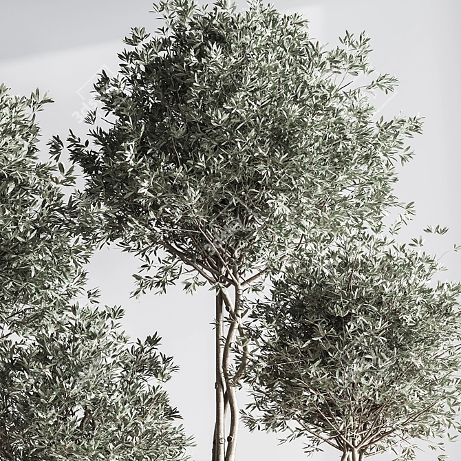 Modern Urban Indoor Plant Set 3D model image 5