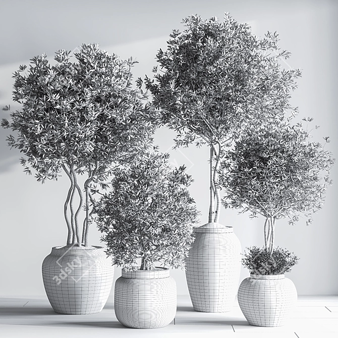 Modern Urban Indoor Plant Set 3D model image 7