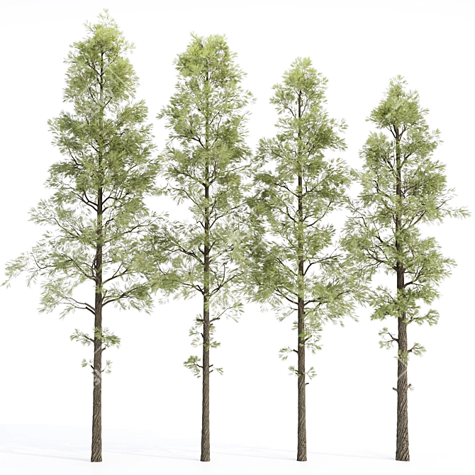 High-Quality Pine Trees Collection 3D model image 1