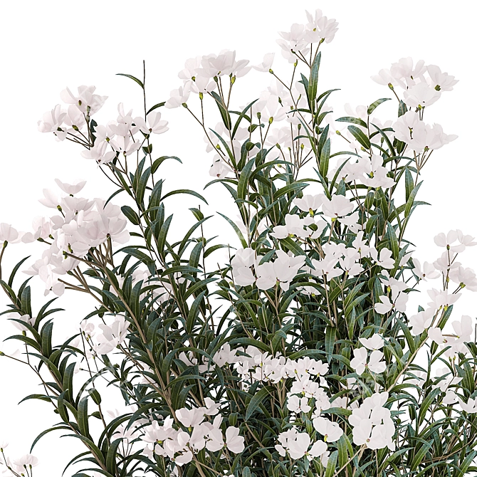 Modern White Blooming Plant Set 3D model image 2