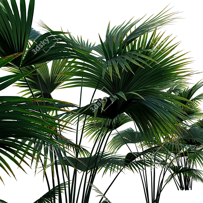 Complete 3D Plant Models Collection 3D model image 3