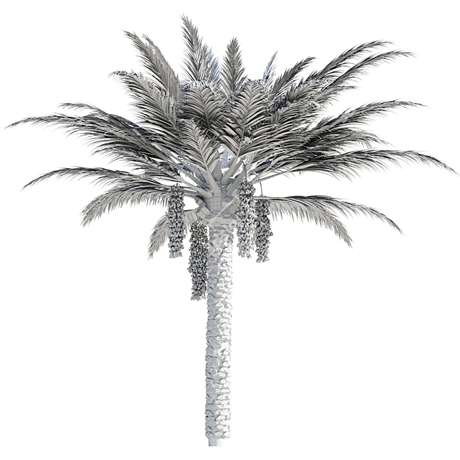 Exotic Palmtree 3D Model Fresh 3D model image 3