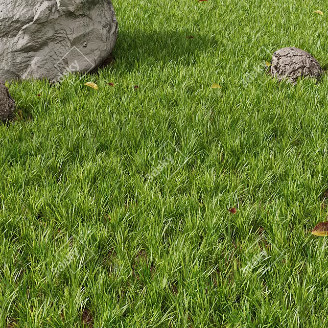 3D Park Summer Scene Bundle 3D model image 2
