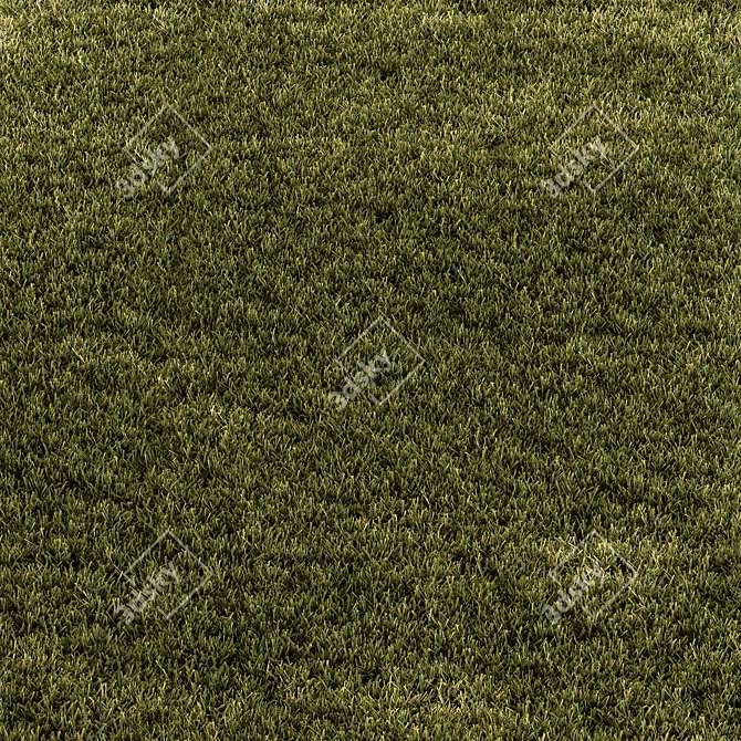 Rectangular Short Grass Set 28 3D model image 1